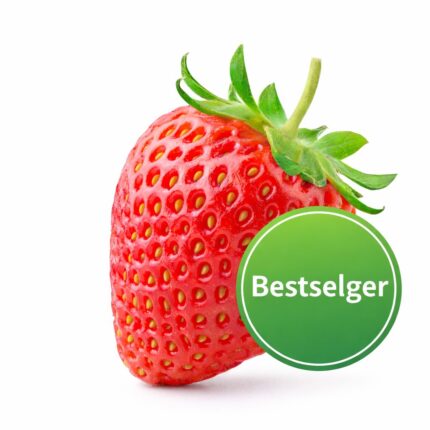 Jordbær "Glede"  6 pk. pluggpakning