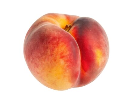 Fersken, dvergvariant "Red Peachy" 40-60 cm  5 l potte