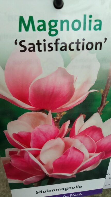 Magnolia Soul "Satisfaction"  50/60  5 l potte