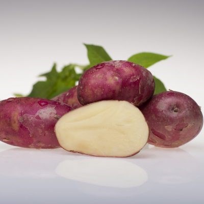 Pimpernel 2,5 kg-1