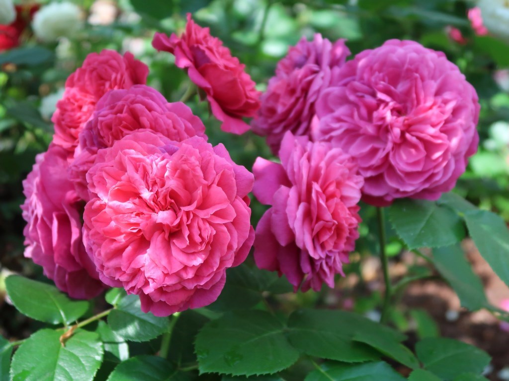 0_shutterstock_1434524033