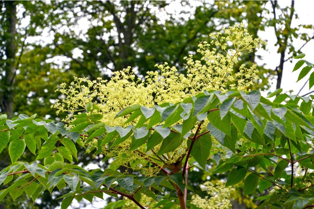 0_shutterstock_1848192244