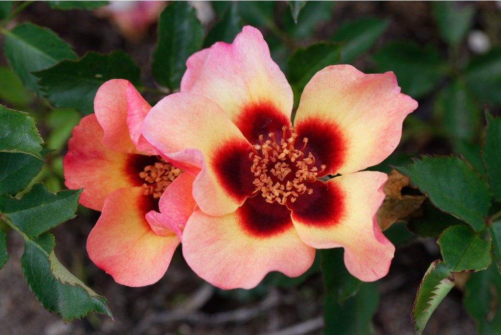 0_shutterstock_2187273447