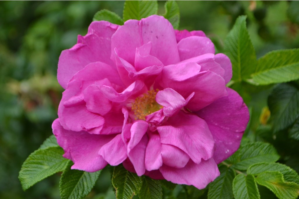 0_shutterstock_2320316663