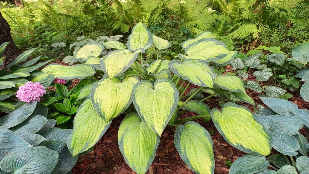 0_shutterstock_2496998505