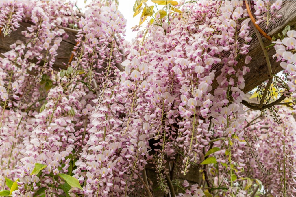 0_shutterstock_2636697457