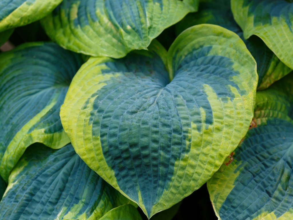 0_shutterstock_2724380161