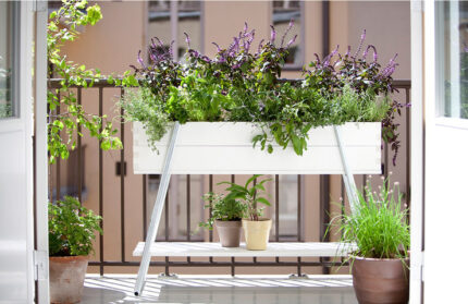 Vekstbenk på ben Hvit