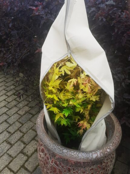 Frostbeskyttelse 100 cm