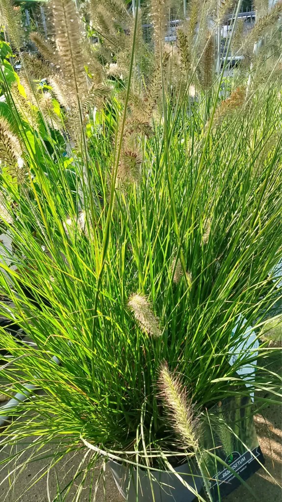 12269_6b77ada1-0d4e-4a06-a883-b0aa4efe6ad81