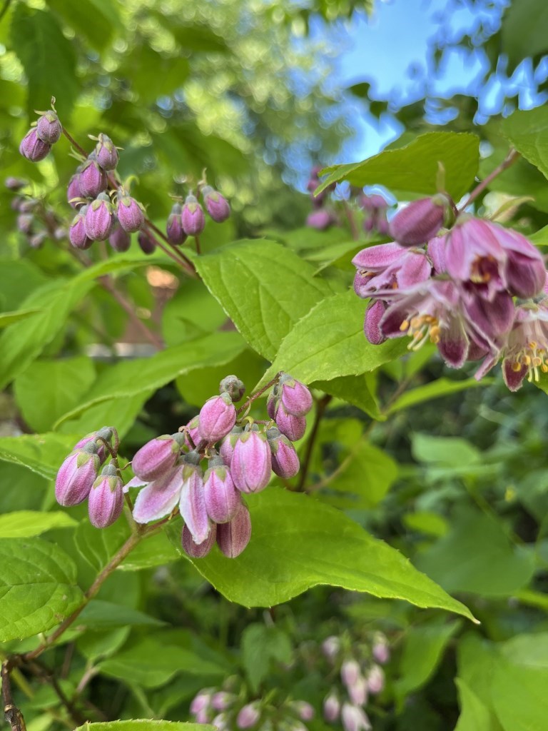 12282_shutterstock_2566373395